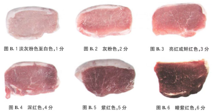 肉色评定2