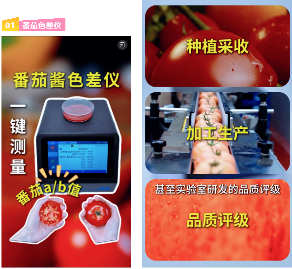 番茄色差仪